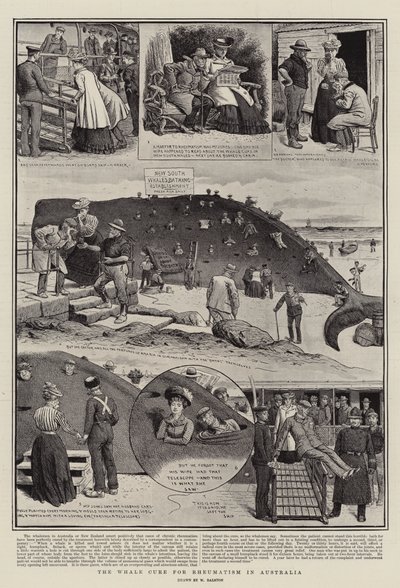 La cura della balena per il reumatismo in Australia da William Ralston